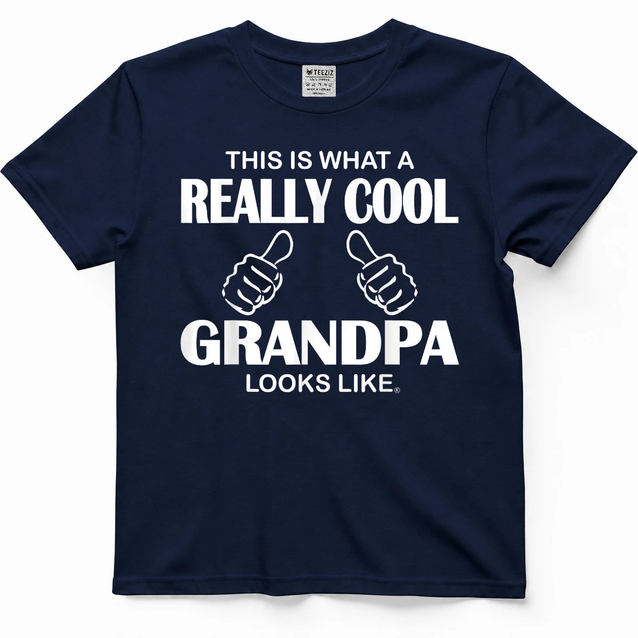 This is What A Really Cool Grandpa Looks Like Funny T-Shirt Tee for Men