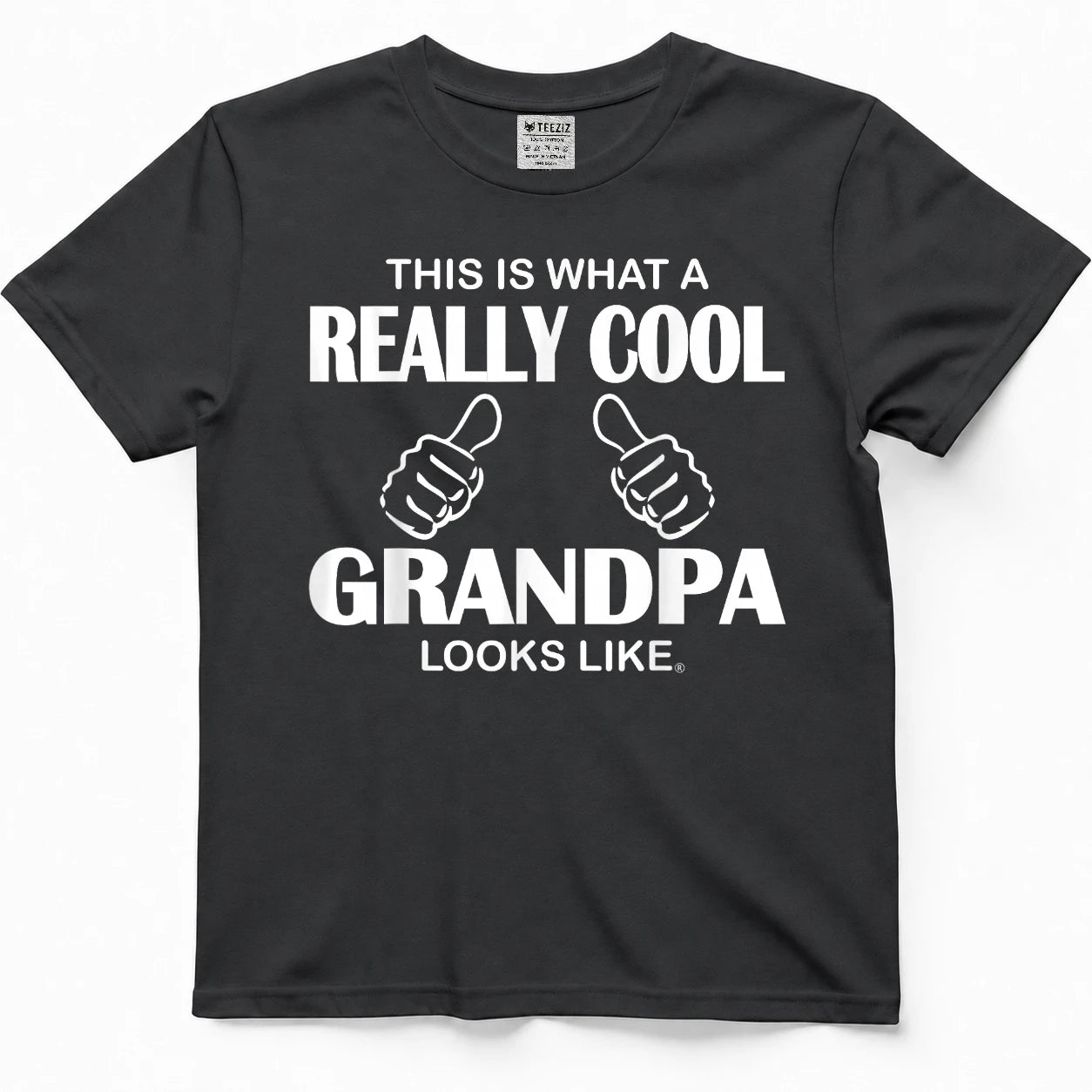 This is What A Really Cool Grandpa Looks Like Funny T-Shirt Tee for Men