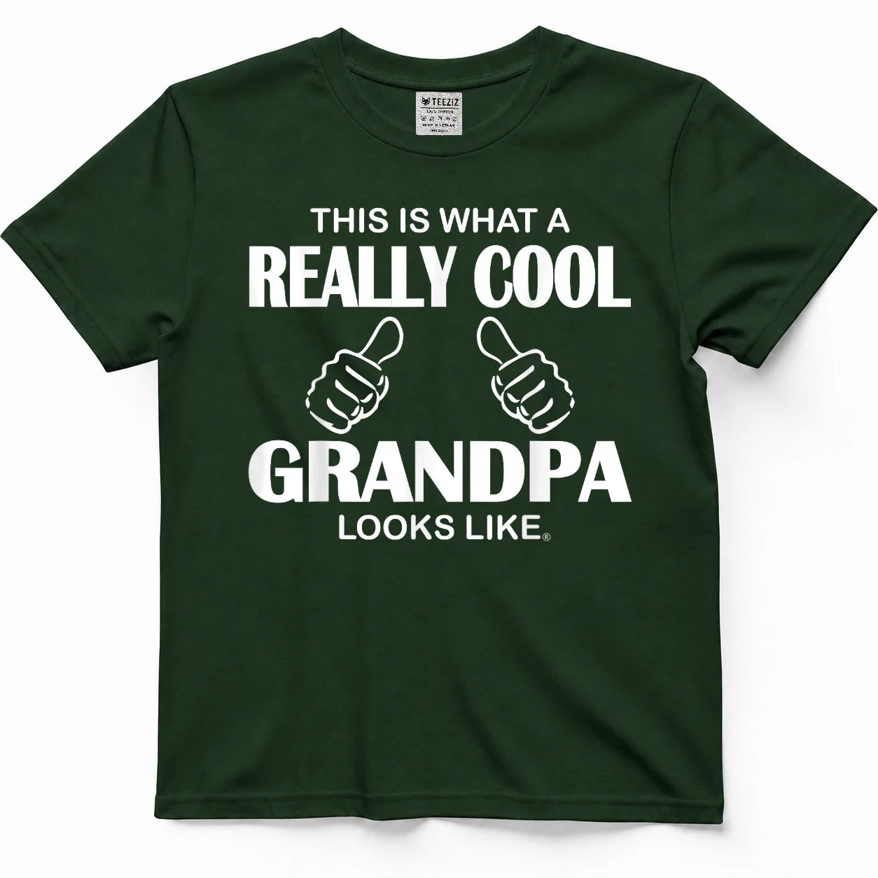 This is What A Really Cool Grandpa Looks Like Funny T-Shirt Tee for Men