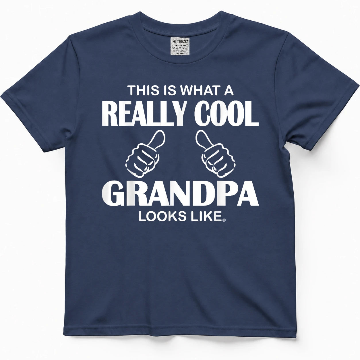 This is What A Really Cool Grandpa Looks Like Funny T-Shirt Tee for Men