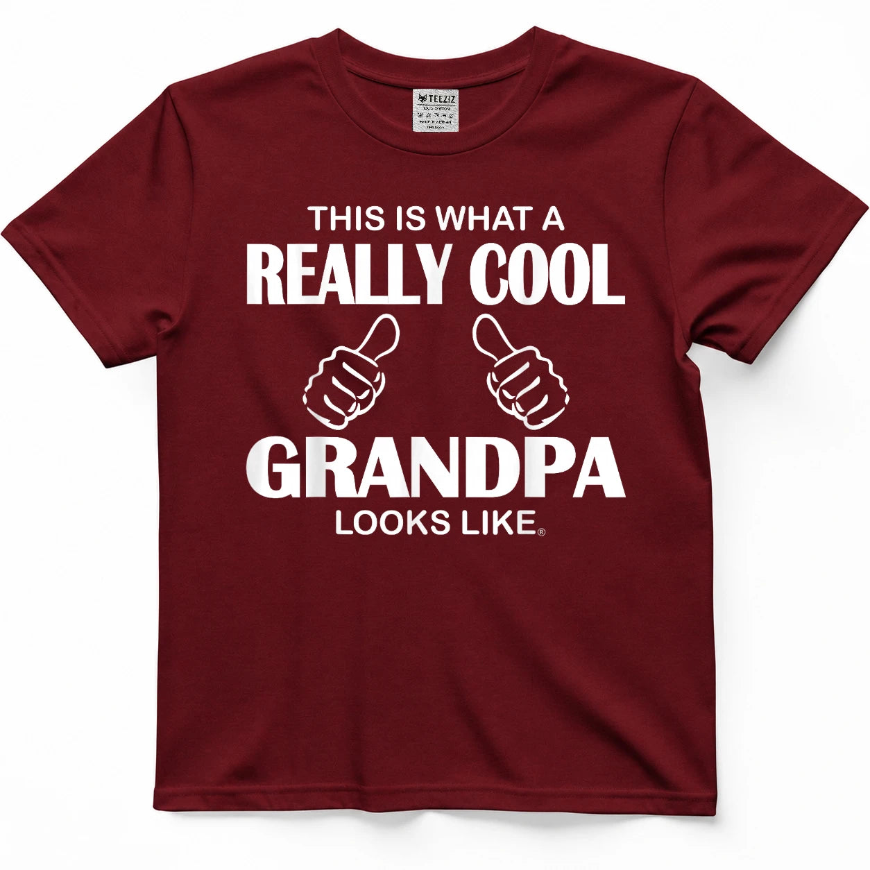 This is What A Really Cool Grandpa Looks Like Funny T-Shirt Tee for Men